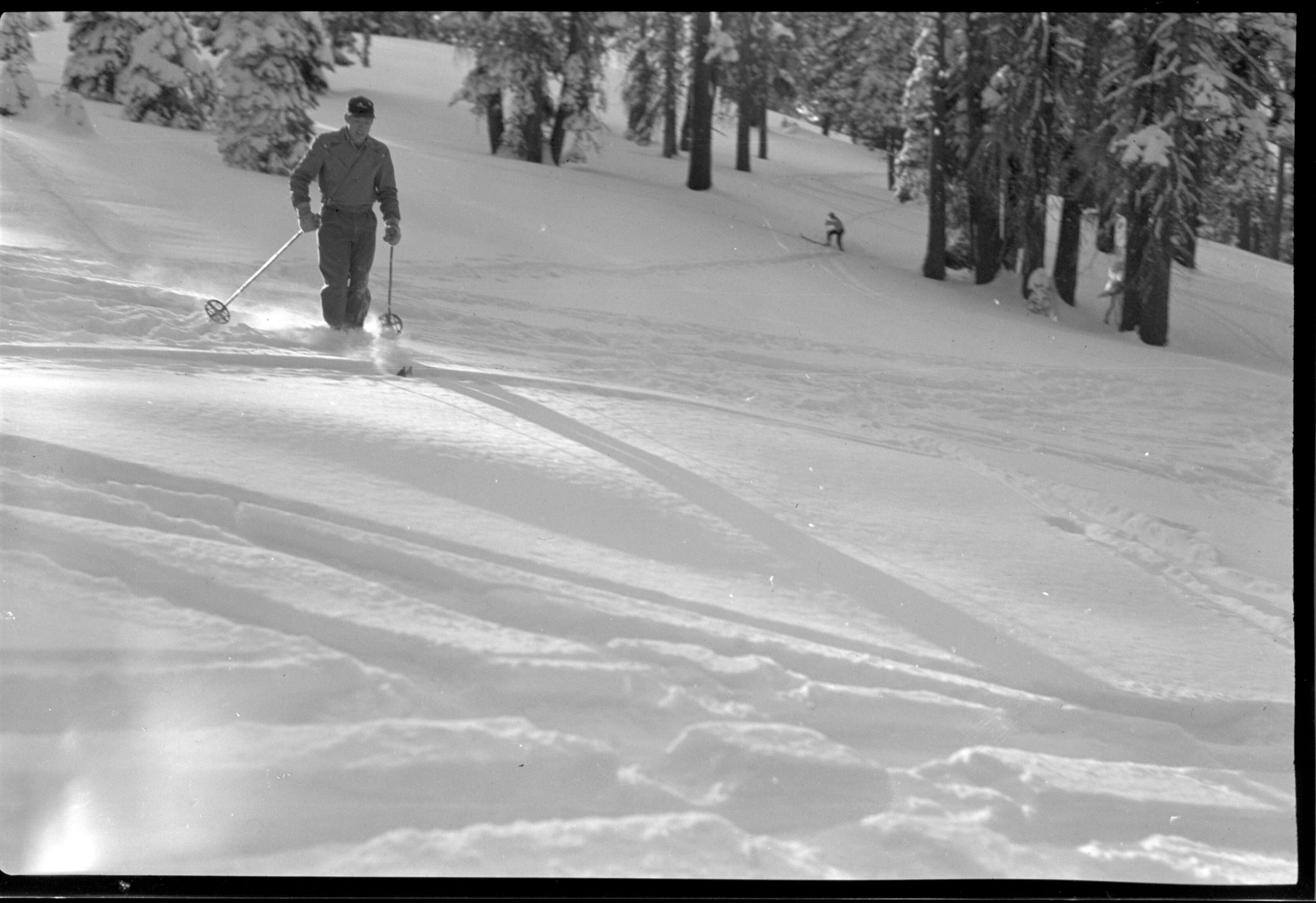Skiiers doing downhill run at Badger Pass