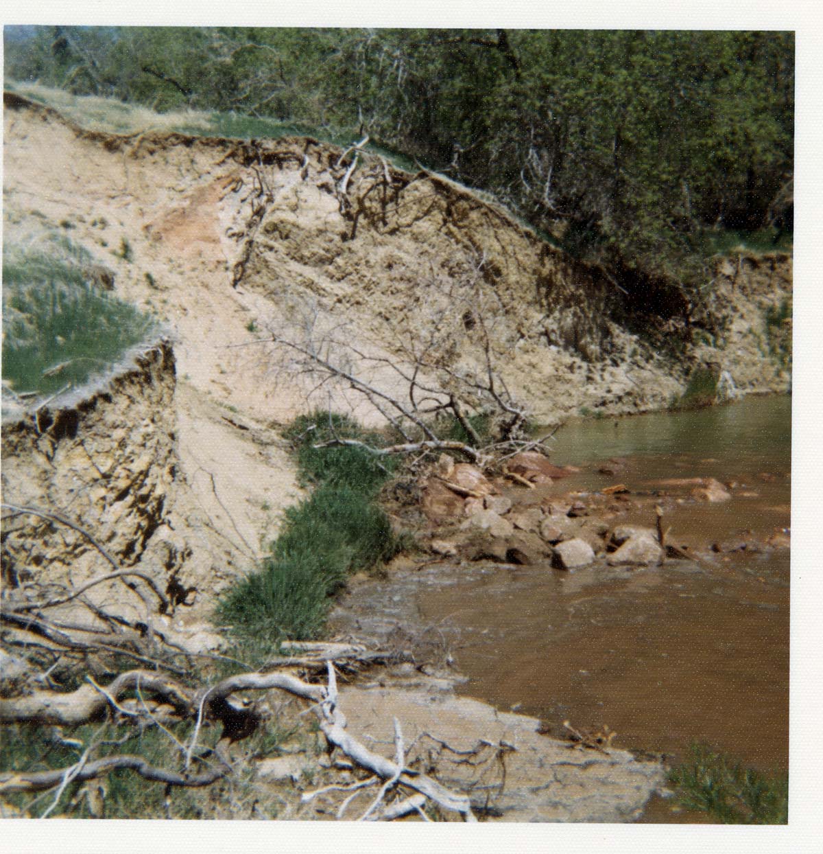 Color photos of channel clearing and bank stabilization along the Virgin River near Birch Creek.
