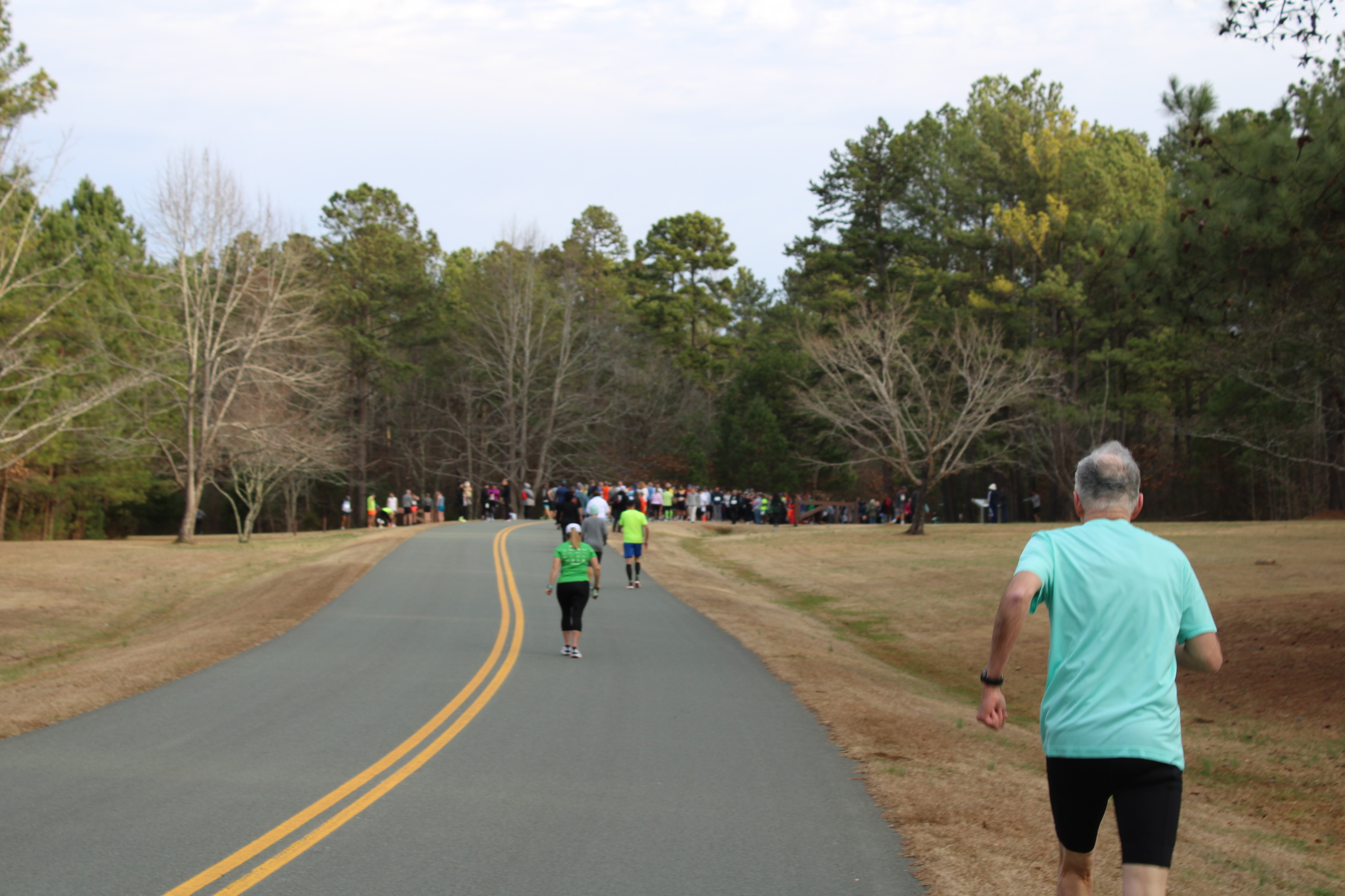 A large group of people crest a small hill as they begin preparing to run a marathon on the Vehicle tour road that goes through a thick wood.