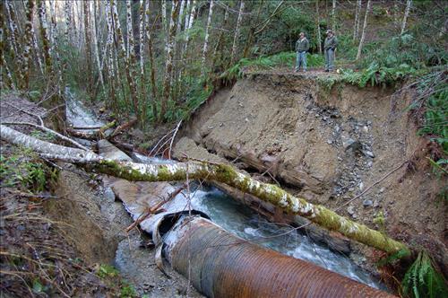 Repair Storm Damage at Mill Creek Area, July 2011, Mill Creek Watersehd, Redwood National and State Parks, in