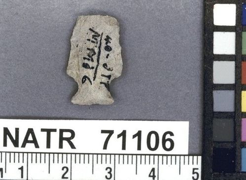 NATR   71106 -- Bayogoula Fishtail projectile point