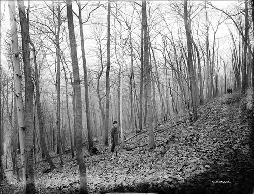 [C5235-CC5244] Mine Brook, NJ