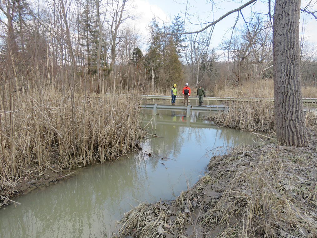 The water is still and cloudy. The stream’s reed-covered banks are coated in wet mud.