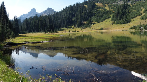 A still mountain lake reflects a subalpine meadow and rocky ridge line. 