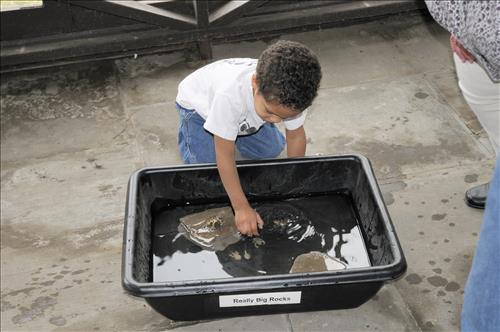 Junior Ranger, Jr. program at Cuyahoga Valley National Park, indoor activities