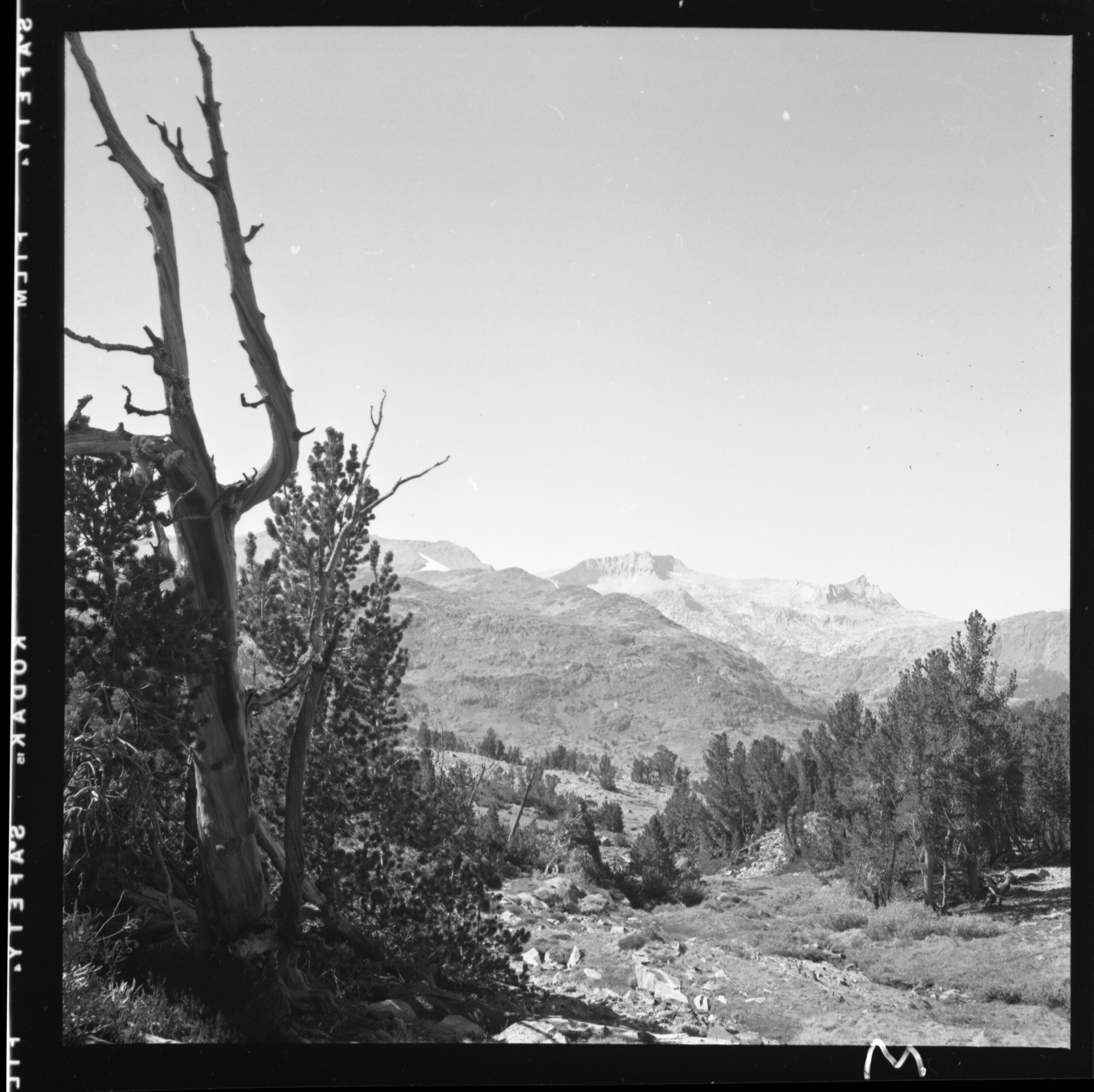 1954 Glacial Survey