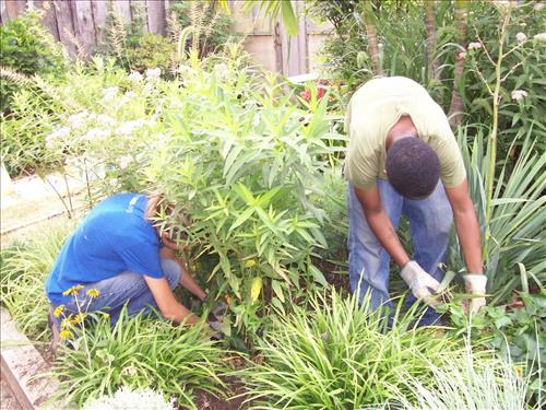 KEAQ YPP 2009 PMIS154684 Kenilworth Aquatic Gardens - SCA Conservation Crew