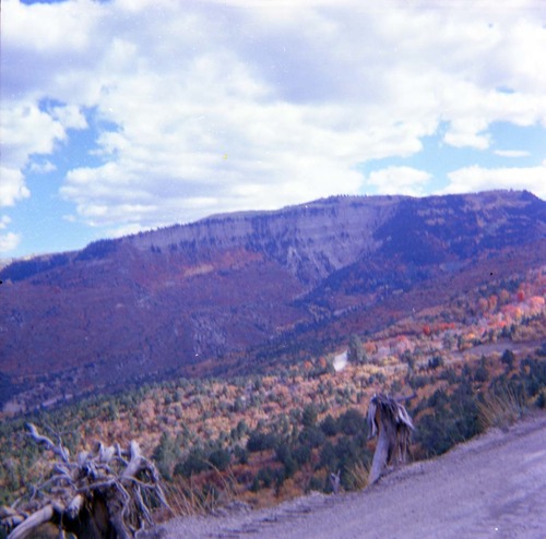 Color photos of scenic views of, or near, Cedar Breaks.