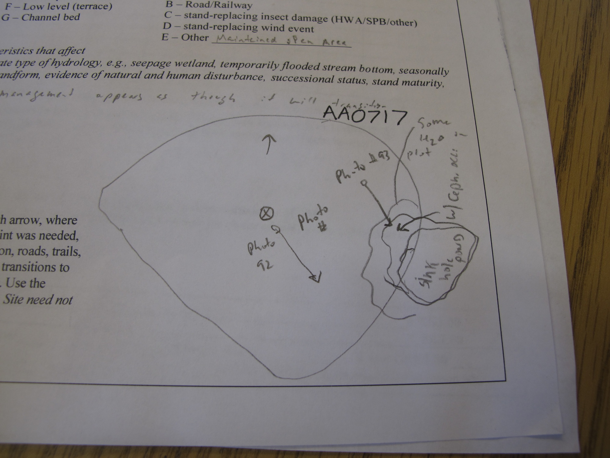GRSM Accuracy Assessment. Plot Code: GRSM_AA_0717_7