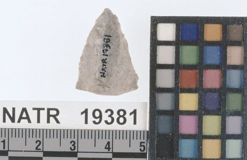 NATR   19381 -- Late Archaic Stemmed Cluster projectile point