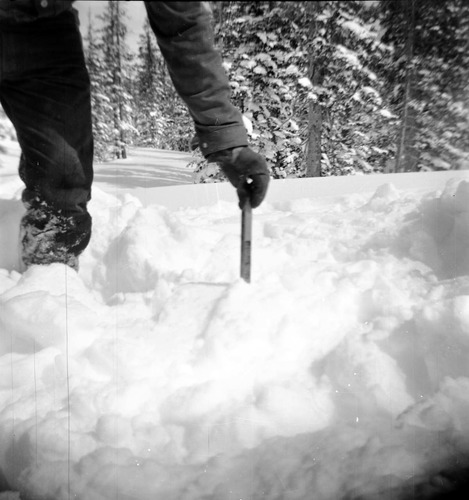 BW Photos showing rangers digging out the visitor center from snowdrift.