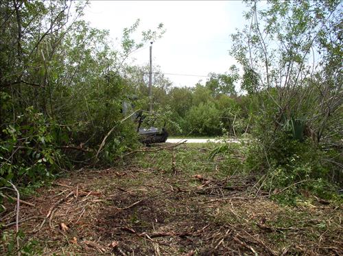 Mechanical fuels reduction at Big Cypress National Preserve, 2002