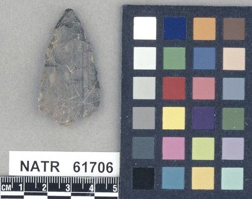 NATR   61706 -- Untyped projectile point