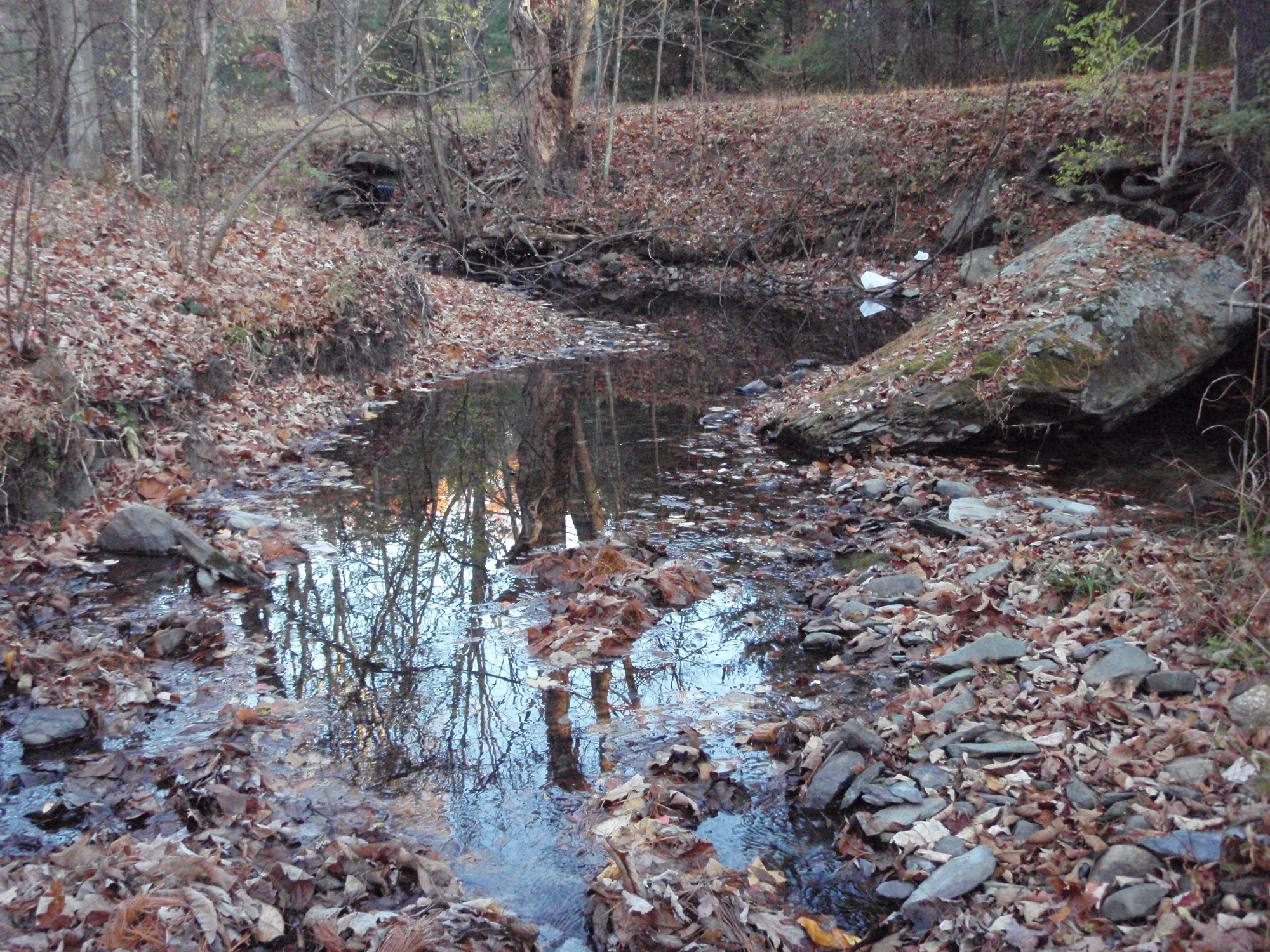Site visit photo showing the upstream (UP) or downstream (DN) view of a wadeable stream reach taken during benthic macroinvertebrate monitoring at Delaware Water Gap National Recreation Area.