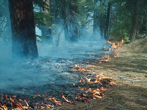 West Kern wildfire used for resource benefit, Sequoia and Kings Canyon National Parks, summer 2003