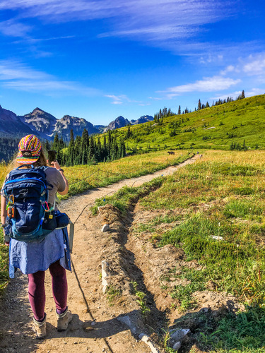 A hiker pauses along a trail to take a photo of a black bear in the distance near the trail. 