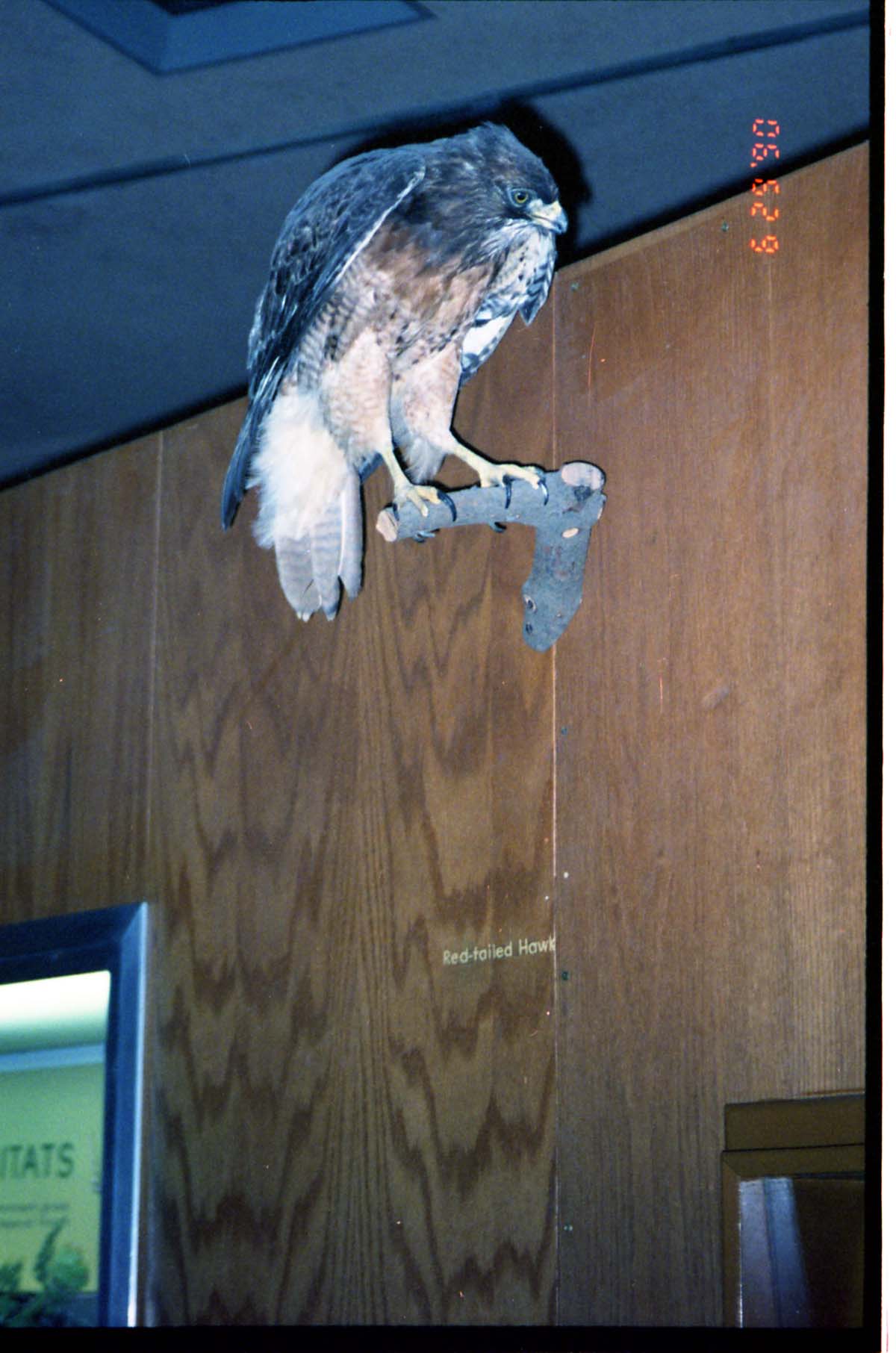 Color Photos of the old visitor center exhibits.