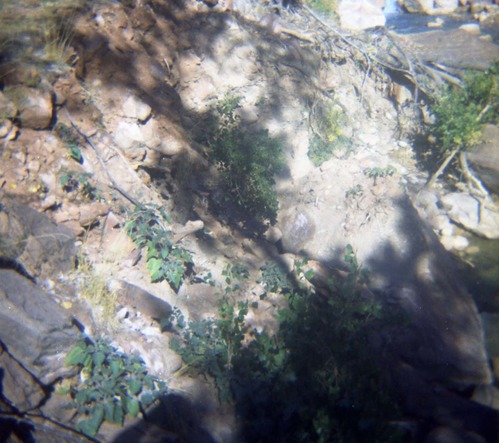 Color Photo of Oak Creek rock slide.