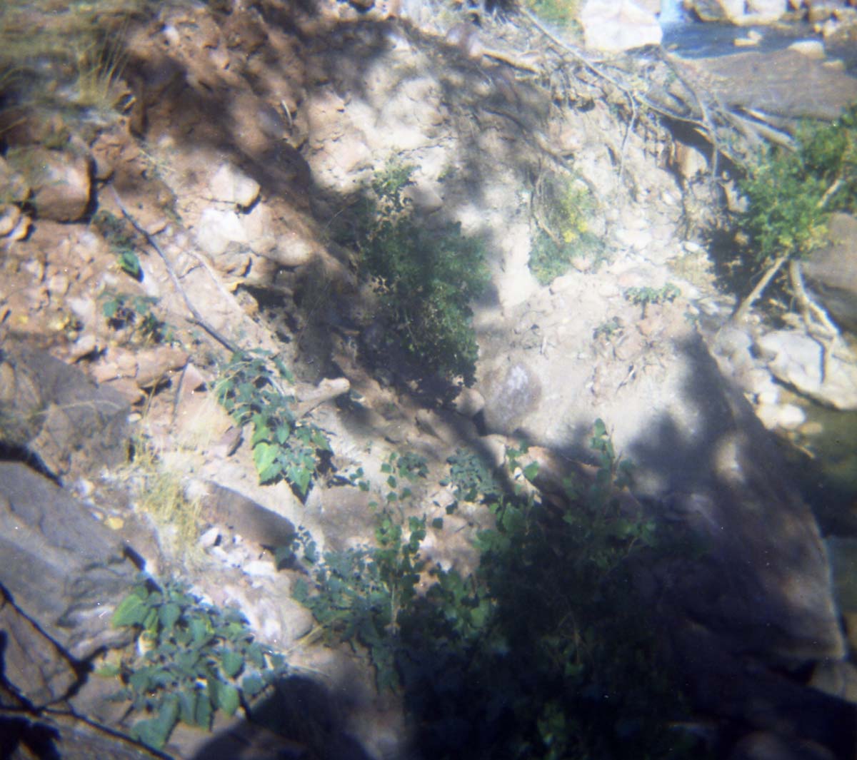 Color Photo of Oak Creek rock slide.