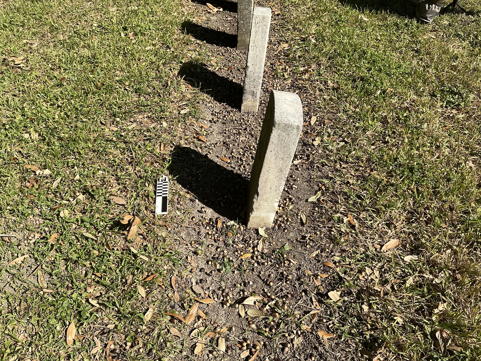 Extra image of historic upright marble headstone with recessed shield face.