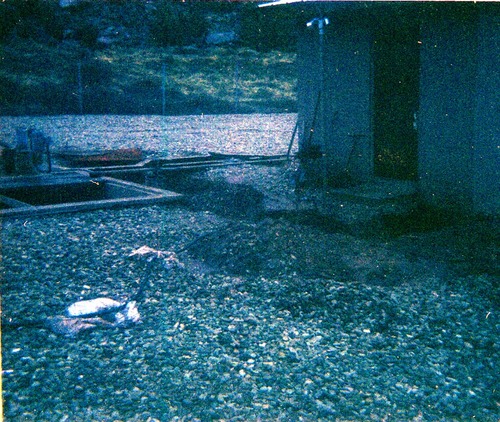 Sewer treatment plant.