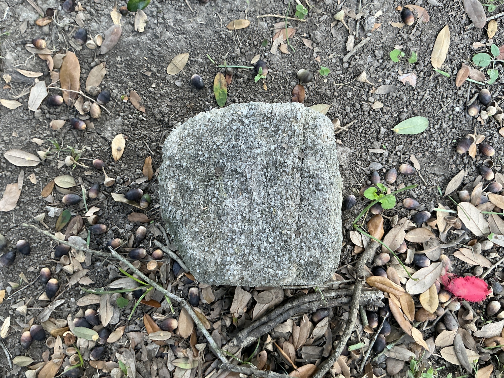 Top of flat marble marker