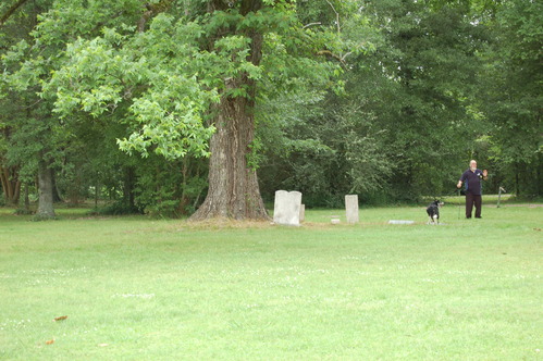 A man and a dog in a field next to tombstones.