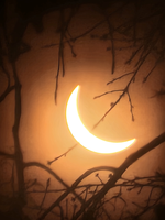 Partial eclipse at the National Mall and Memorial Parks