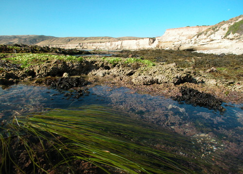 sri-scenics-kdo - 34