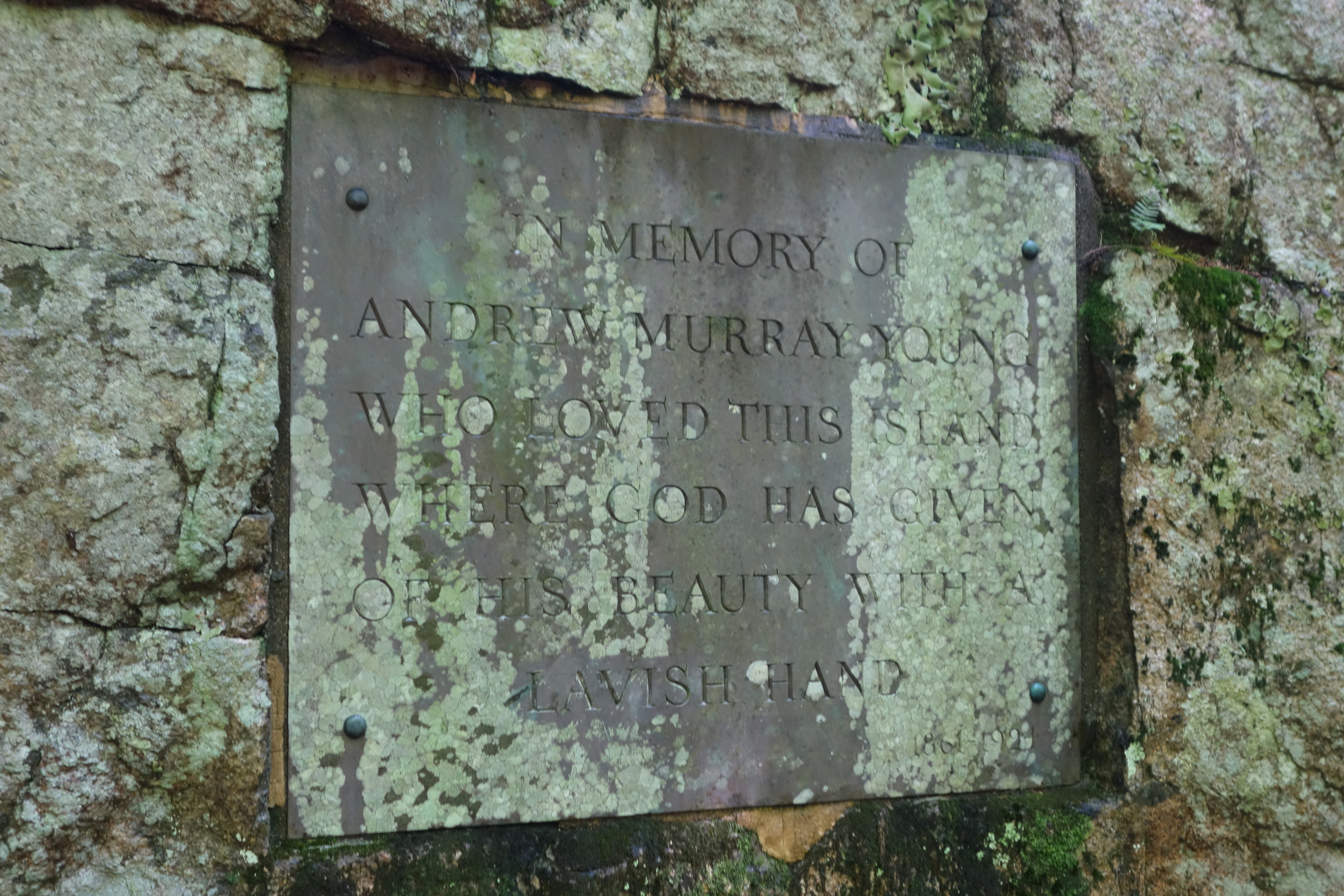 Memorial Plaque for A Murray Young in Acadia National Park