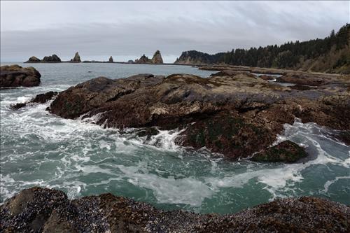 Location of OLYM SAJH OA sites