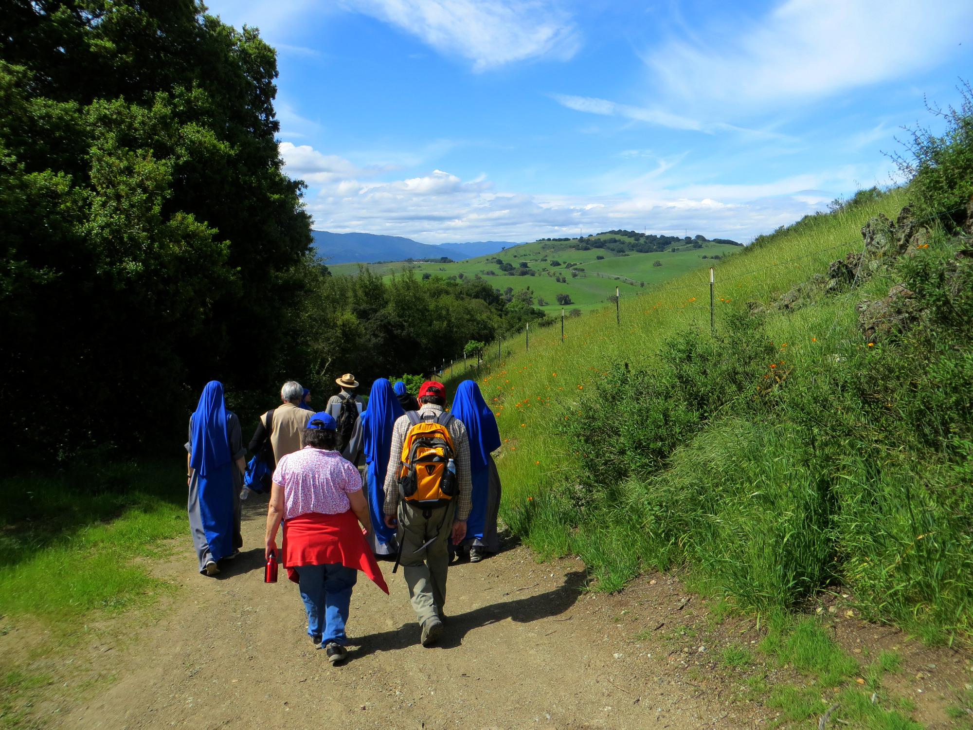 A group of people walk down a dirt trail that cuts through a grassy green hillside