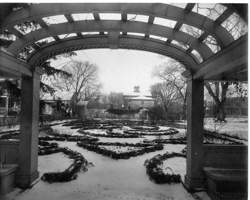 Black and white photograph of garden covered in snow.
