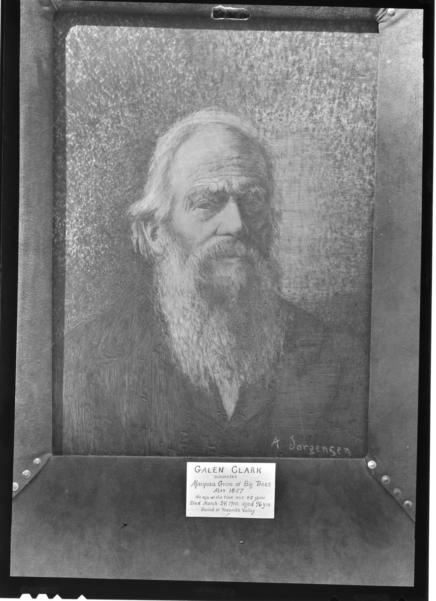 Painting of Galen Clark by Chris Jorgensen