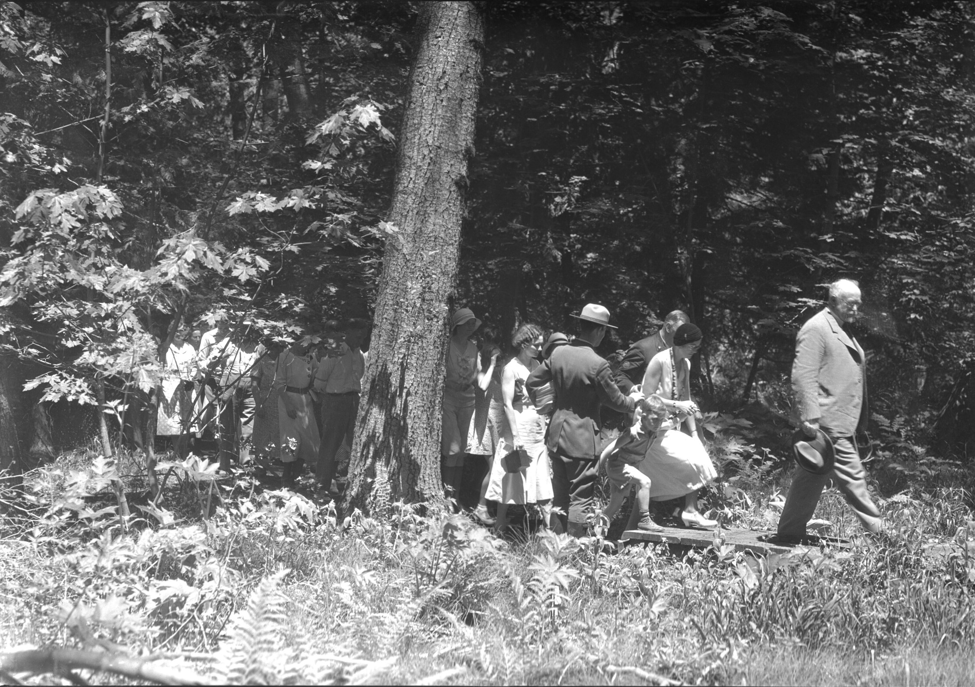 Stephen Mather plaque dedication at Happy Isles.