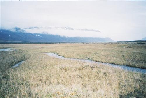 4 Gates of the Arctic National Park and Preserve Itkillik Bird Survey June 2006