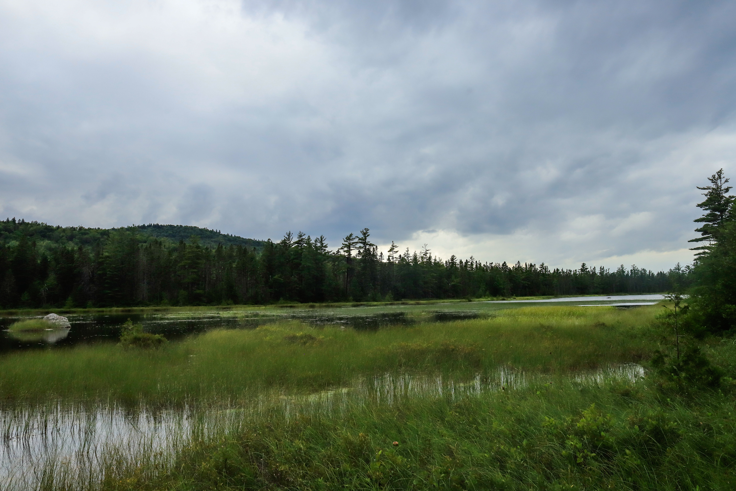 A cloudy sky looms over a landscape with a green hill and grassy pond