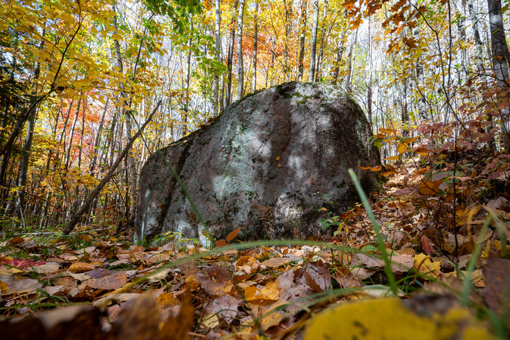 Photograph of large glacial erratic boulder surrounded by a forest with autumn foliage.