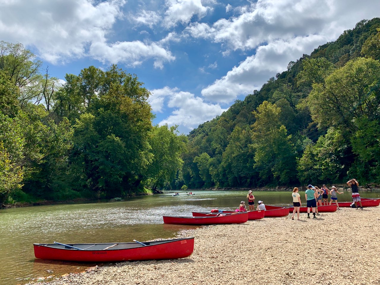 Several red canoes sit out of the water on a gravel bar near a river. 