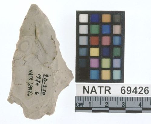NATR   69426 -- Savannah River projectile point