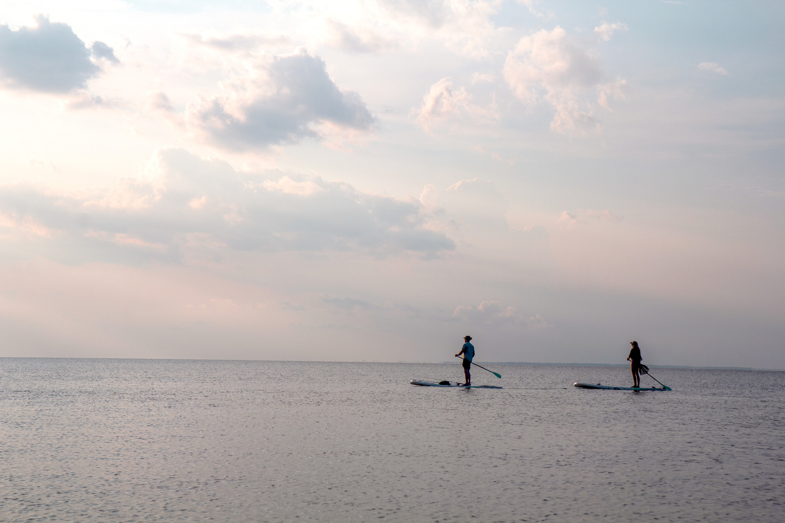 two people paddleboarding standing up