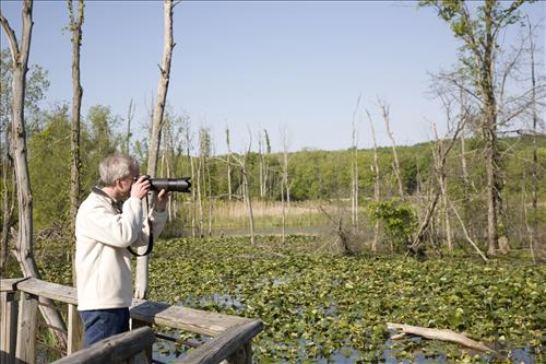 Nature Photographers