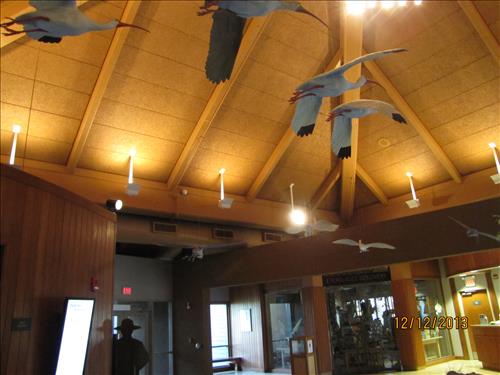 Replace Existing Lighting Fixtures for new LED ones and Install new LED bulbs on compatible fixtures at the Coe Visitors Center, Pine Island