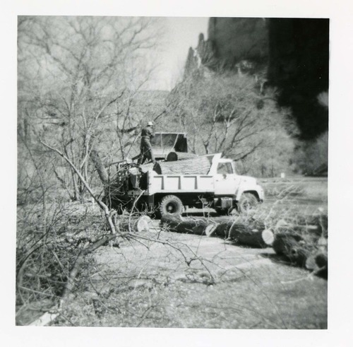BW photo of the removal of debris from cleaning and/ or pruning.