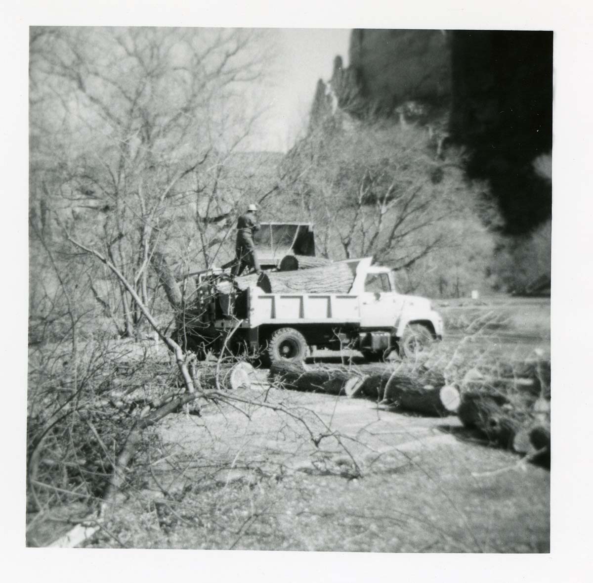 BW photo of the removal of debris from cleaning and/ or pruning.