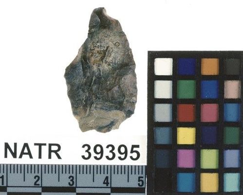 NATR   39395 -- Untyped projectile point