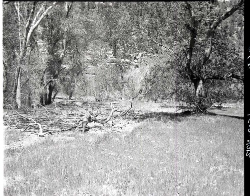 Ditch digging at Grotto Campground, filled in and covered - old cesspool location.