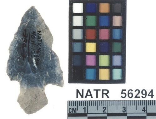 NATR   56294 -- Untyped projectile point