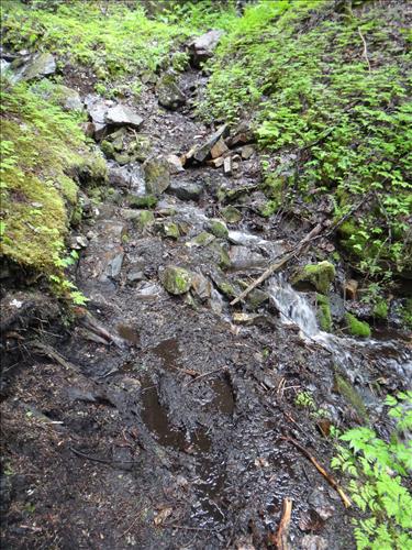 Tread work on the Chilkoot Trail during the 2012 field season.