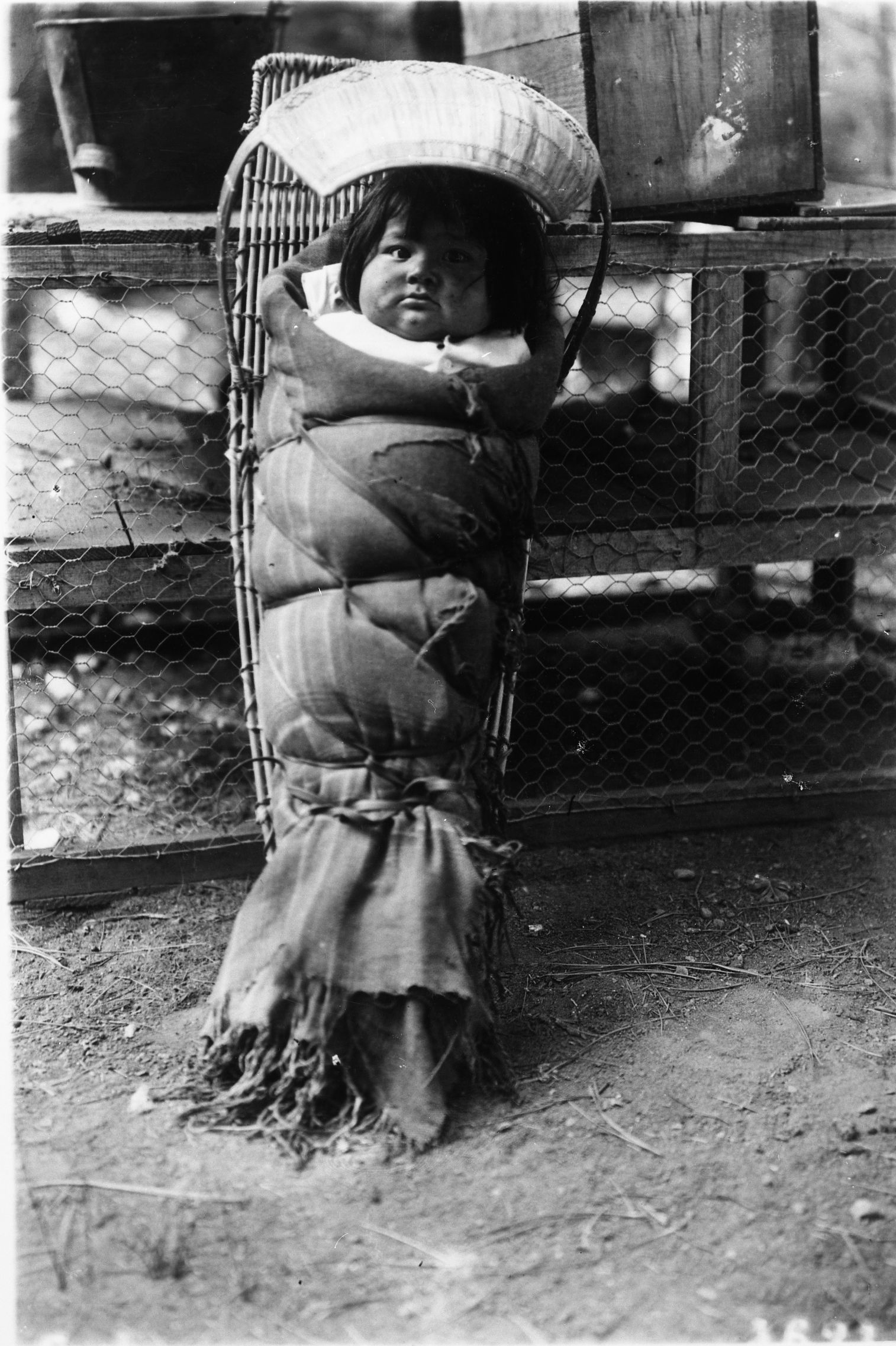 Washoe baby, photographed near Lake Tahoe.
